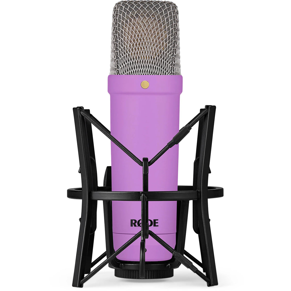 Rode NT1 Signature Series condenser microphone with metal grille and studio shock mount for professional vocal and instrument recording.
