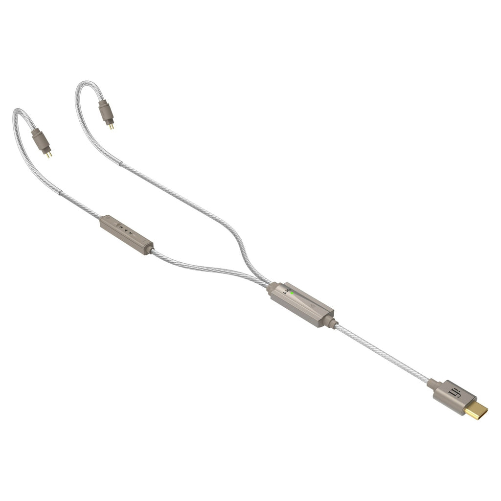 iFi Audio GO cable, full cable with USB-C and 2-pin connectors