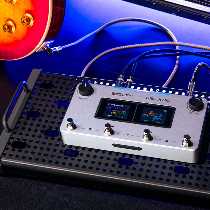 Zoom NEURIG